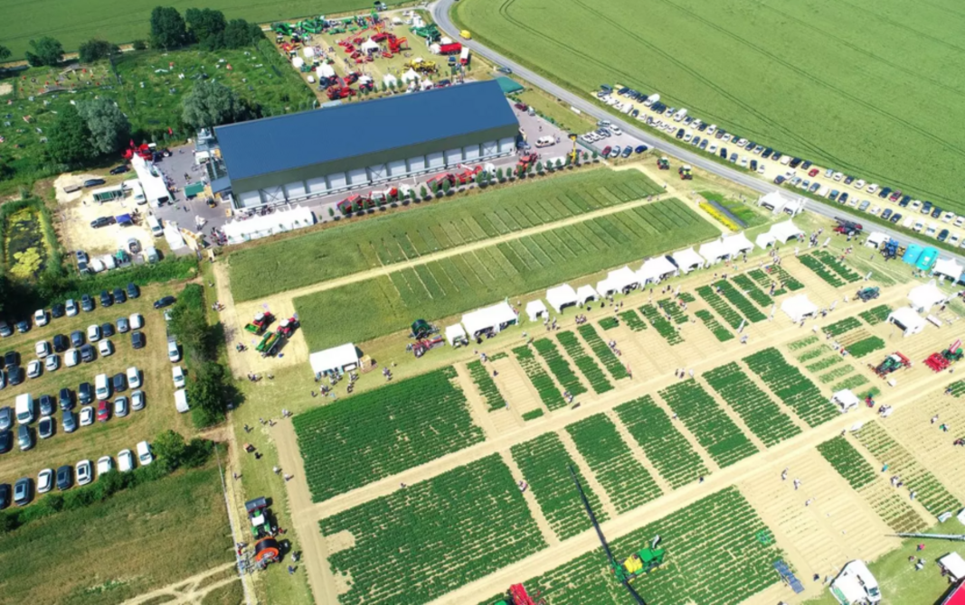 Qualipom’ 2025 : la filière pomme de terre se donne rendez-vous le 26 juin à Villers-au-Flos