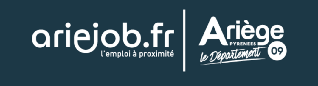 INSERTION PROFESSIONNELLE | Lancement et présentation de la plateforme Ariejob.
