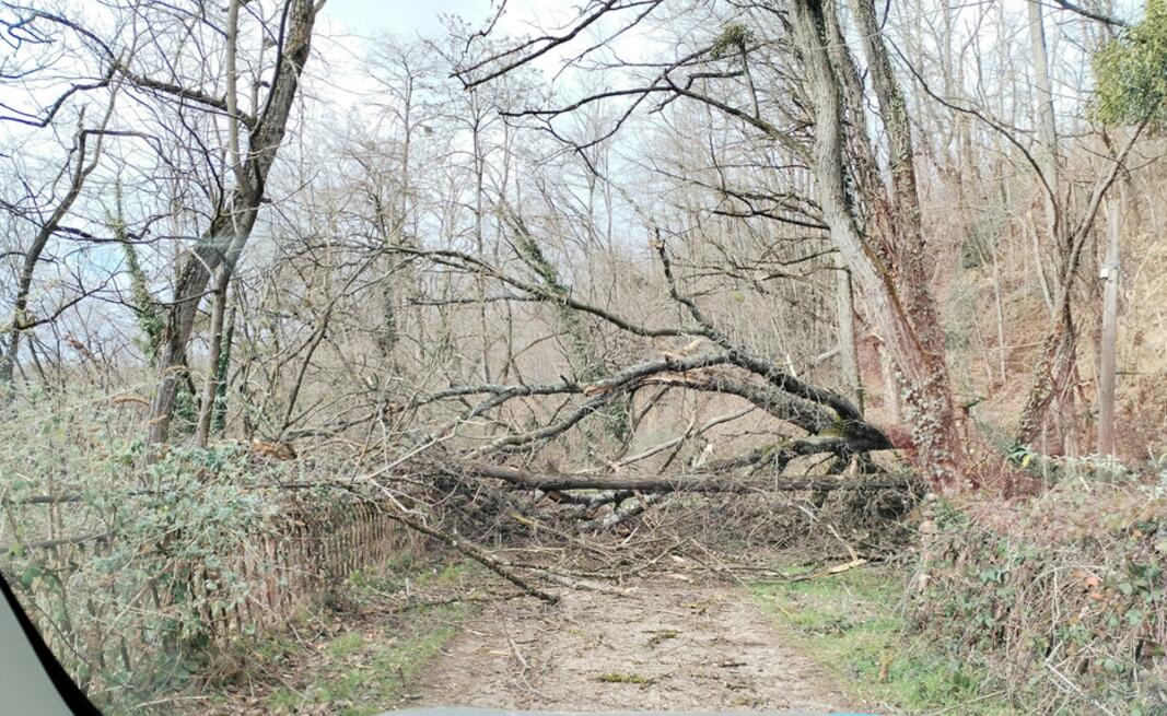 VOIES VERTES | FERMETURE DU TRONÇON LAVELANET - DREUILHE