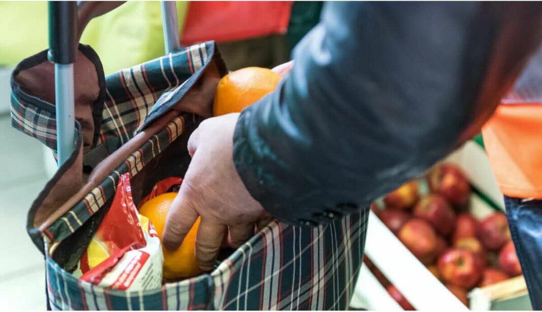 Election présidentielle : la transition vers un système agricole et alimentaire durable doit être renforcée Election présidentielle : la transition vers un système agricole et alimentaire durable doit être renforcée