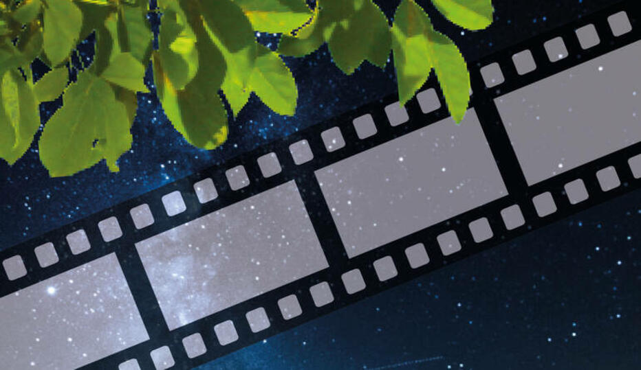 Ciné plein air