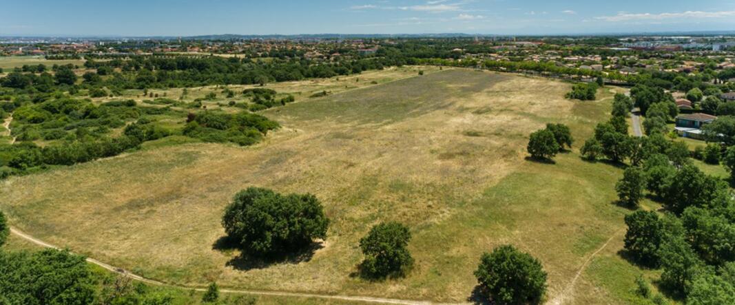 Maraîchage en milieu urbain : trois projets retenus à Colomiers Maraîchage en milieu urbain : trois projets retenus à Colomiers
