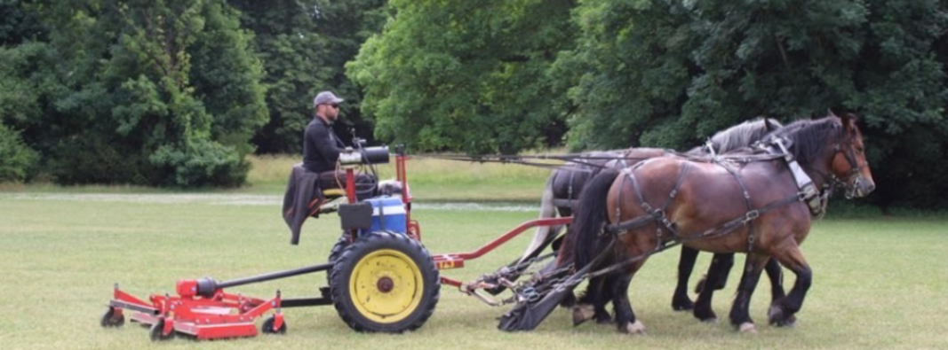 Au parc du château, la tondeuse à gazon est un cheval