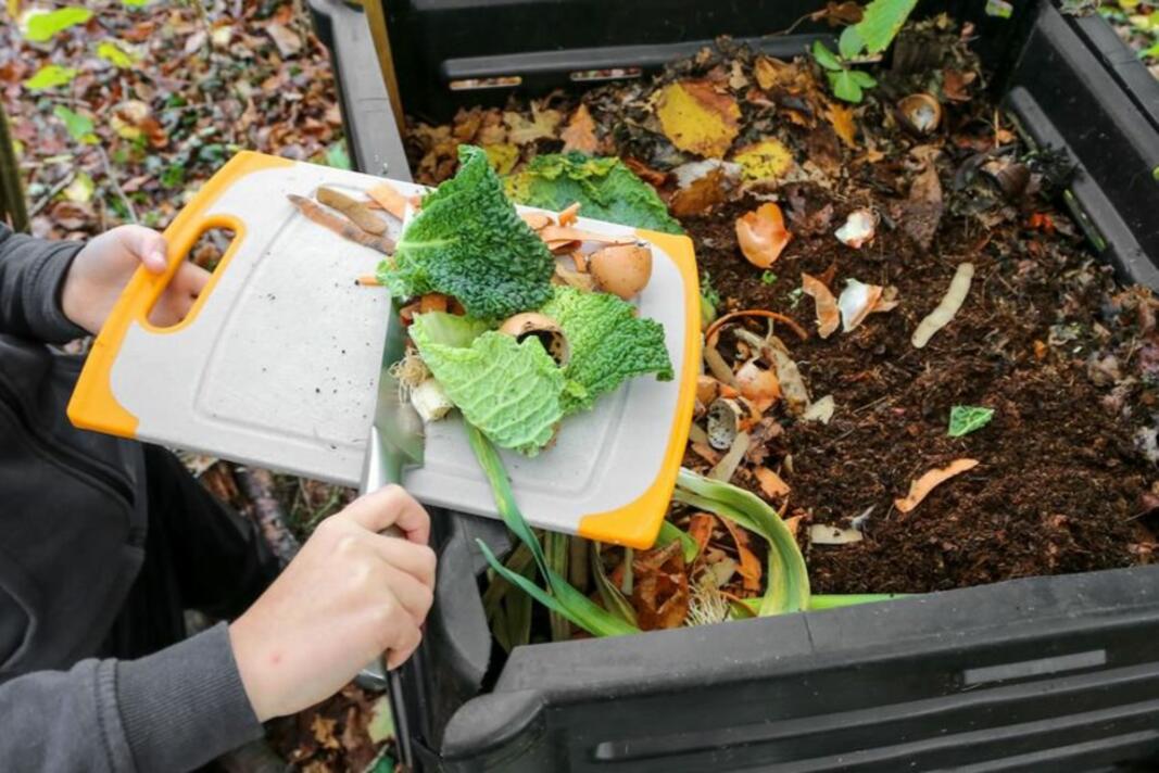 Déchets alimentaires : les demandes de composteurs gratuits sont ouvertes Déchets alimentaires : les demandes de composteurs gratuits sont ouvertes