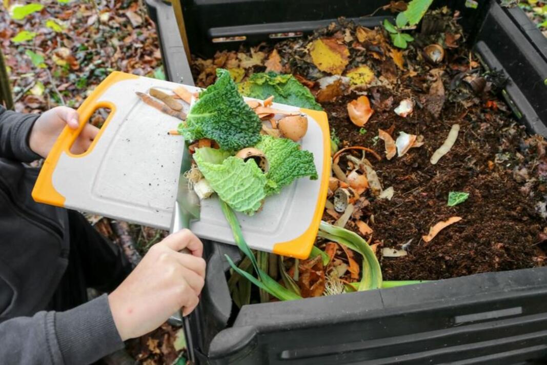 Déchets alimentaires : les demandes de composteurs gratuits sont ouvertes