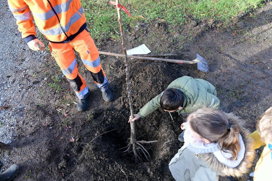 [Invitation] 04/12 - Micro-fôrets : une nouvelle plantation par les élèves nazairiens