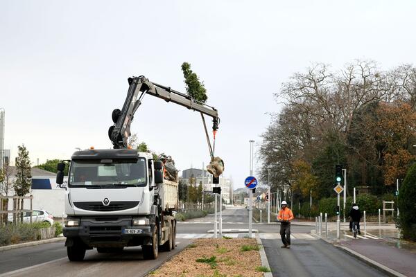 Projet Hélyce + : 600 nouveaux arbres plantés route de la Côte d’Amour