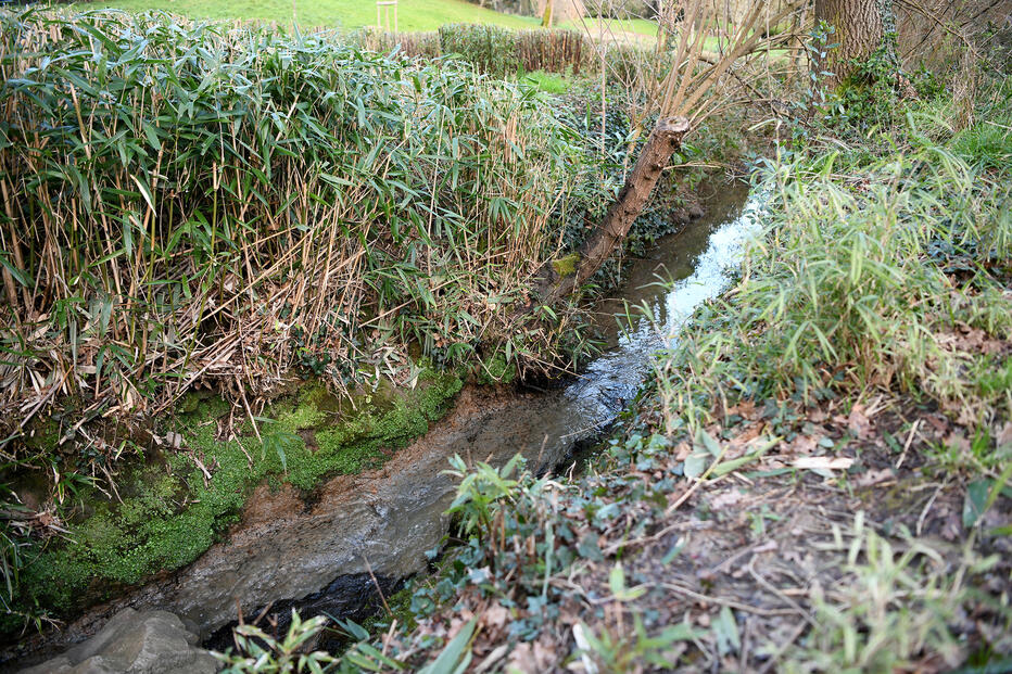 Renaturation du ruisseau de Porcé : une balade pour découvrir le projet le 18 septembre Renaturation du ruisseau de Porcé : une balade pour découvrir le projet le 18 septembre