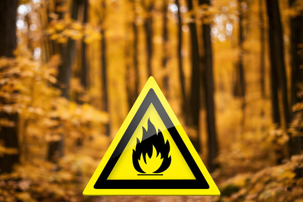 Prévention des incendies : l’accès limité à plusieurs espaces boisés de Saint-Nazaire jusqu’au 17 août