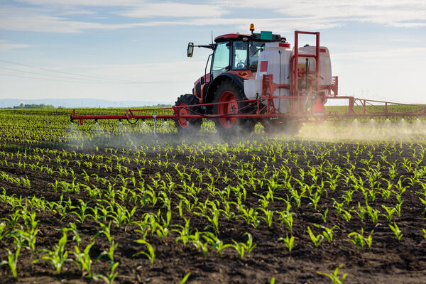 Loi d’urgence agricole et retour des néonicotinoïdes : un recul écologique et sanitaire inacceptable