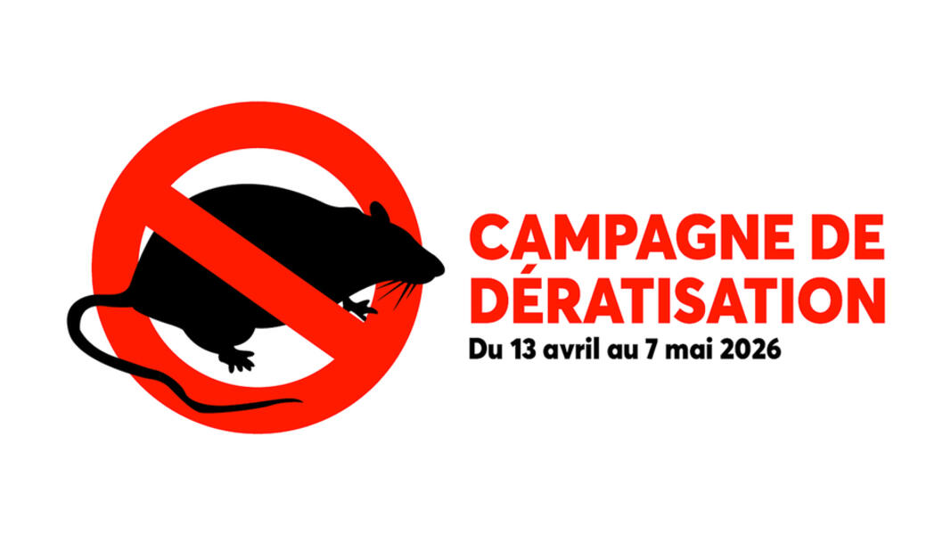 Campagne de dératisation