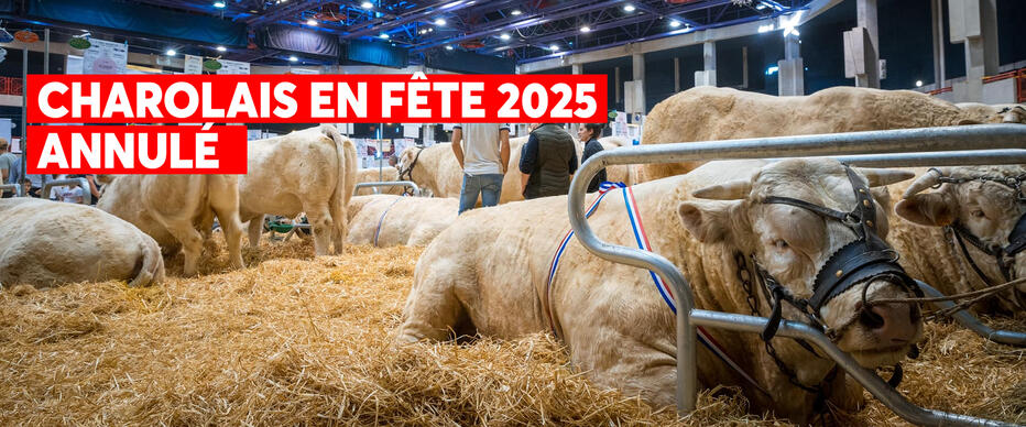 CHAROLAIS EN FÊTE : ANNULATION