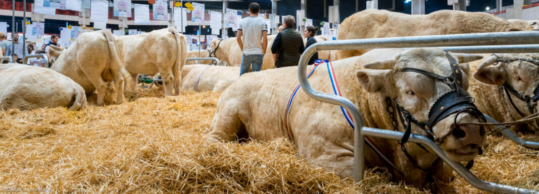 Concours agricoles : signature d'une convention